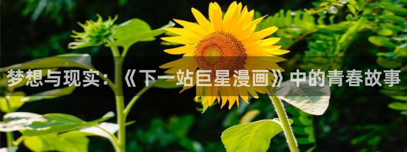 成年羞羞漫画：梦想与现实：《下一站巨星漫画》中的青春故事